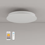 Round Infrared Ceiling Heater with LED Lighting & Thermostat