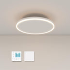 Round Infrared Ceiling Heater with LED Lighting & Thermostat